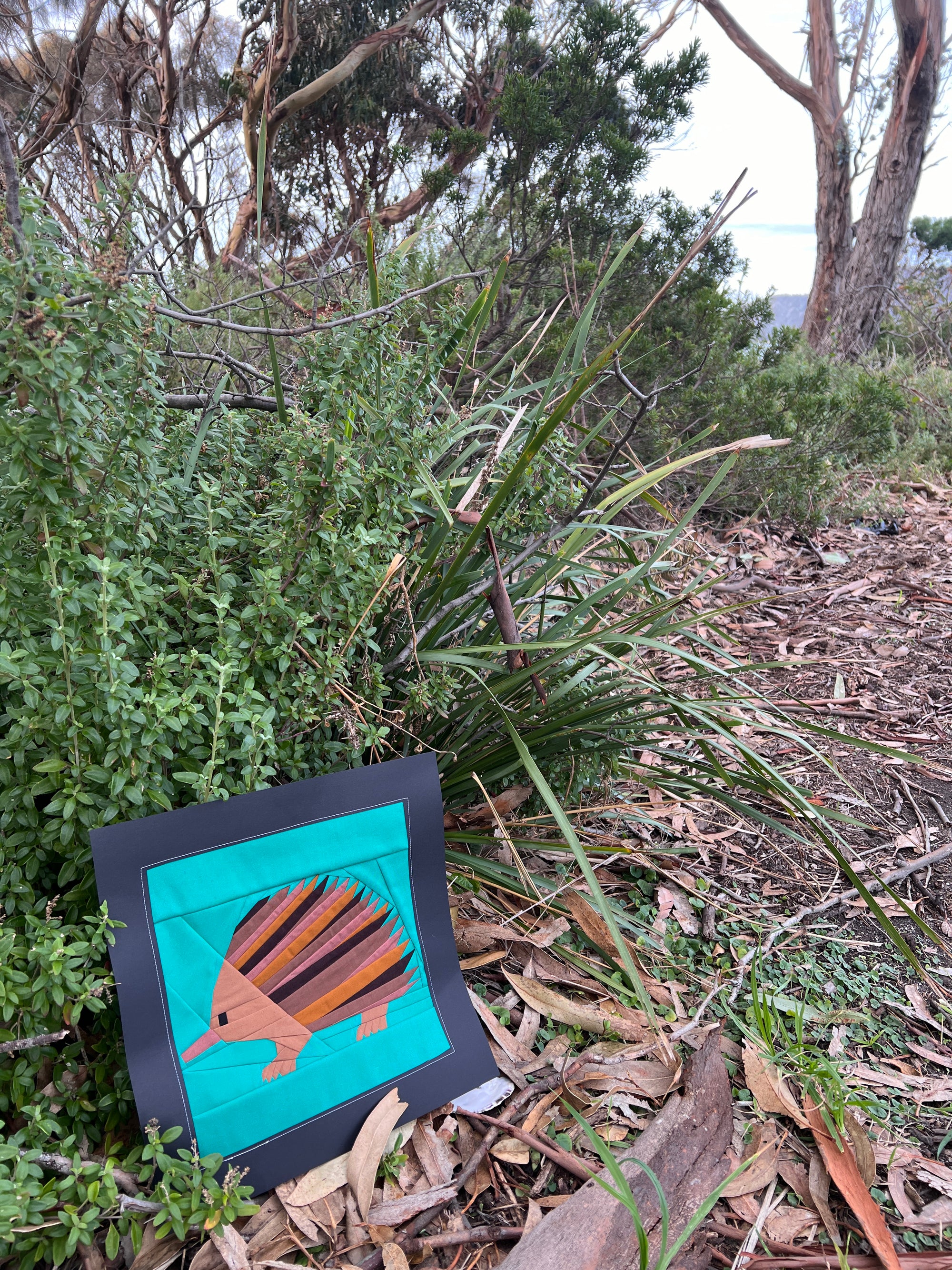 Echidna foundation paper pieced quilt block photographed outdoors