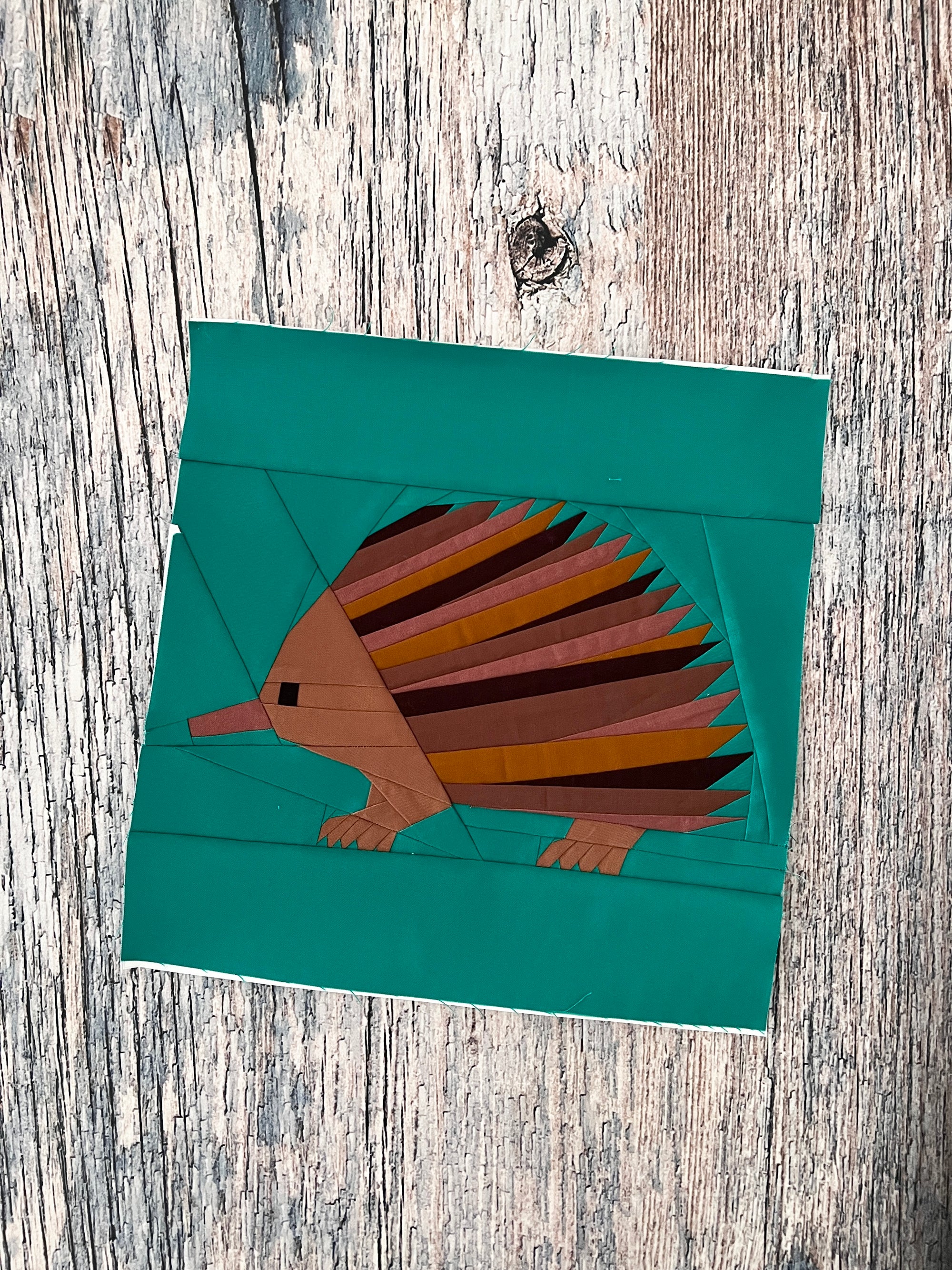 Finished echidna foundation paper pieced quilt block