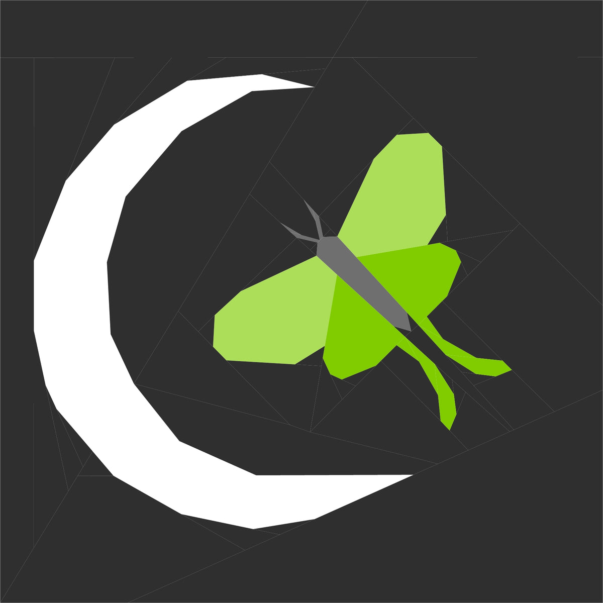 Green moth and crescent moon, foundation paper pieced quilting pattern illustration on black background