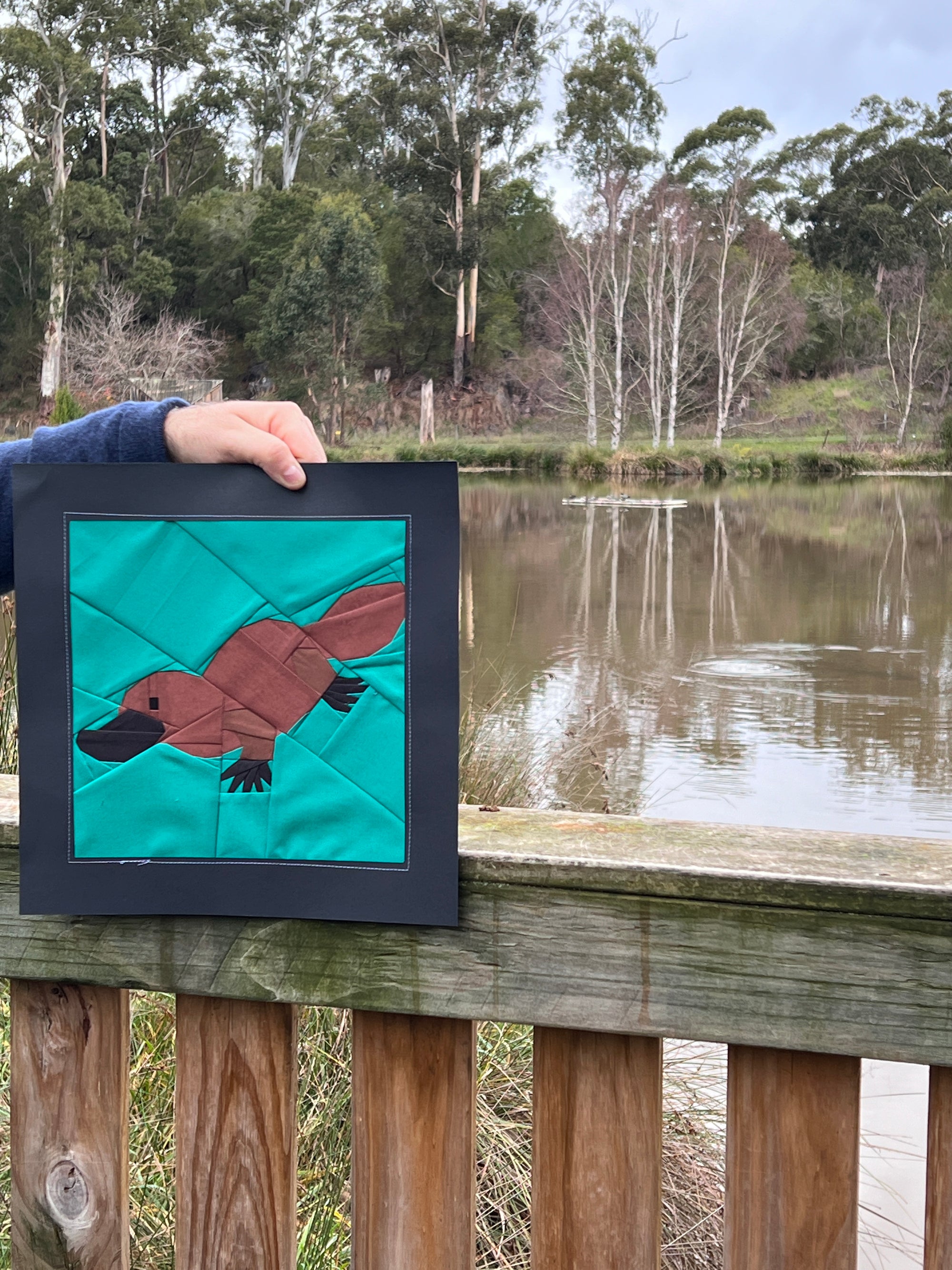 FPP Pattern - Platypus foundation paper pieced quilt block photographed outdoors