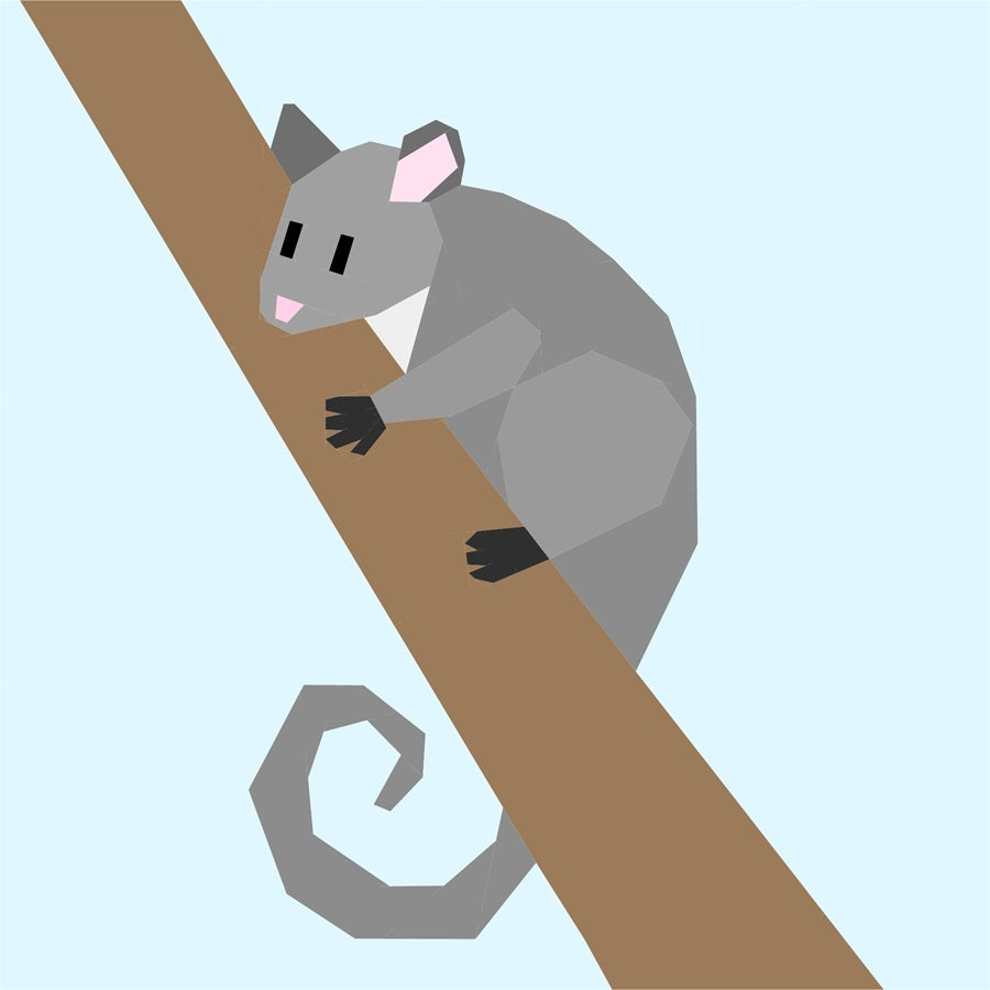 Ring tail possum foundation paper pieced quilt block pattern illustration