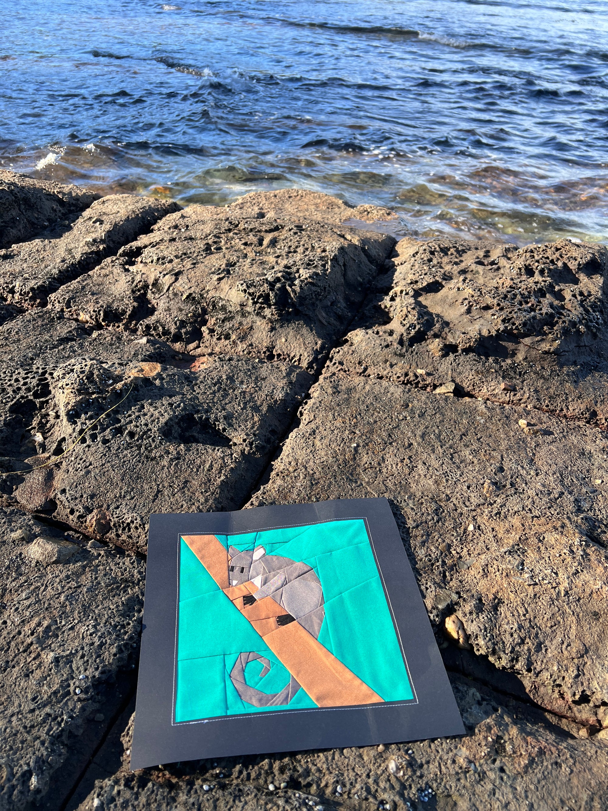 Ring tail possum foundation paper pieced quilt block photographed outdoors