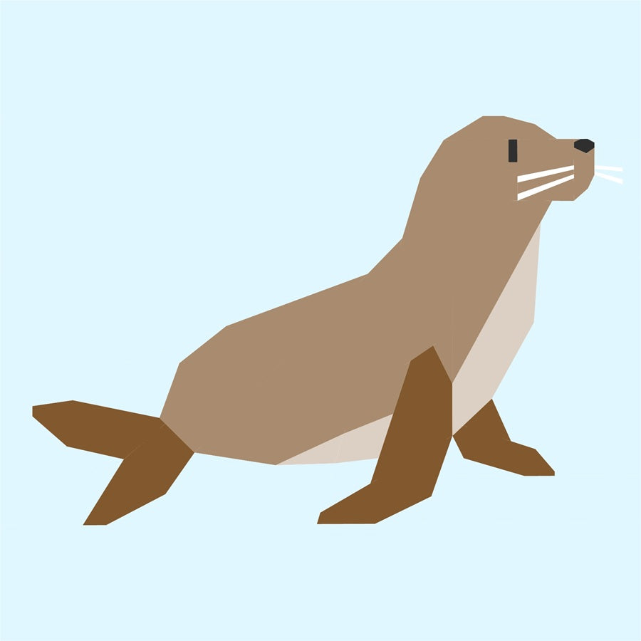 Seal foundation paper pieced quilt block pattern illustration