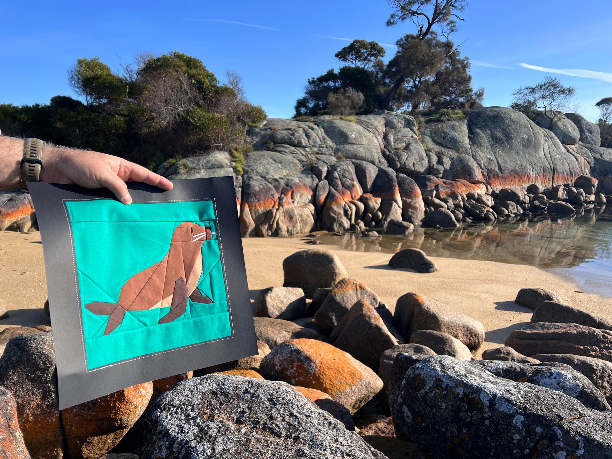 Seal foundation paper pieced quilt block photographed outdoors