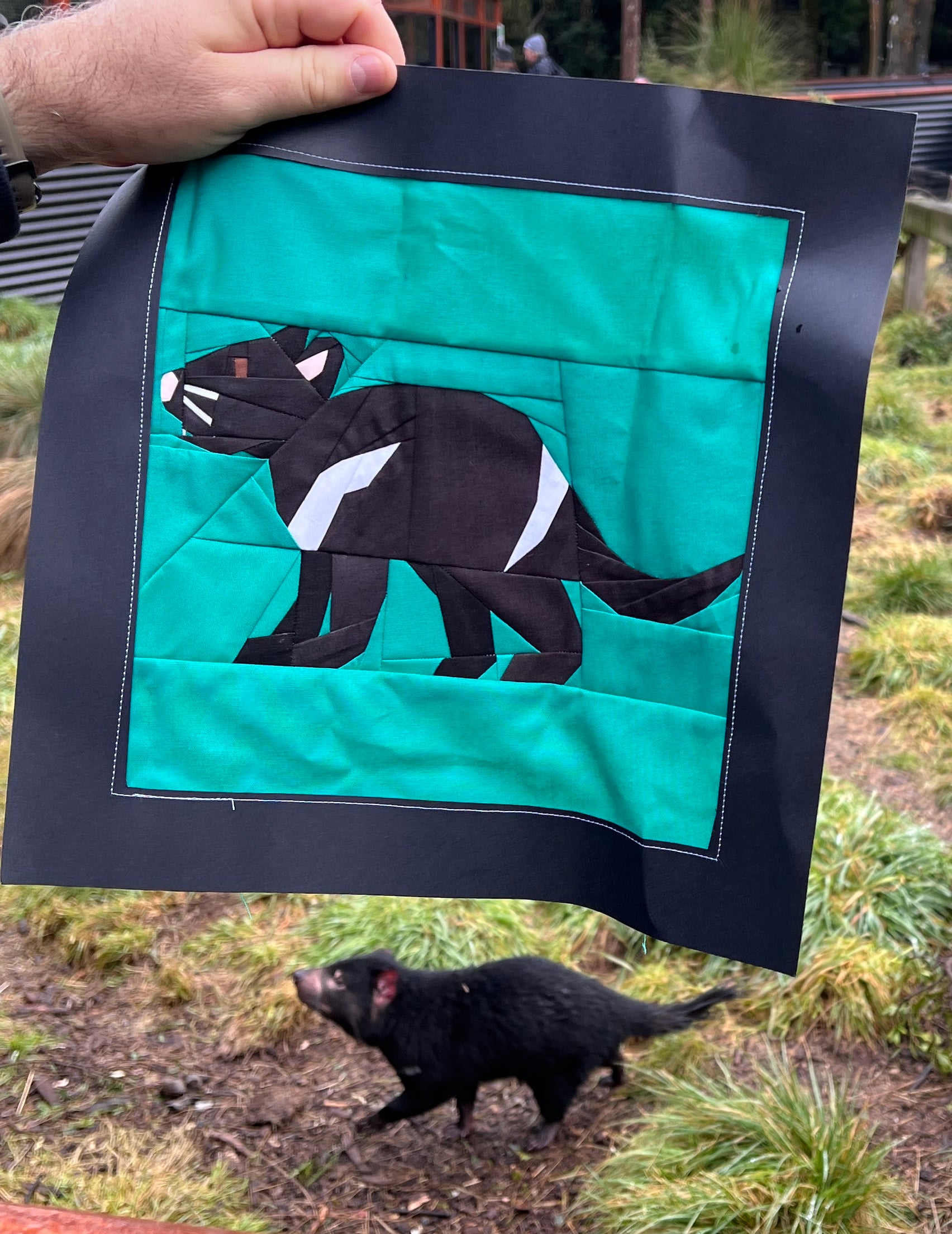 Tasmanian devil foundation paper pieced quilt block photographed outdoors